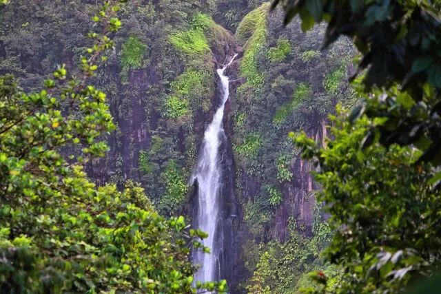 Chute du Carbet