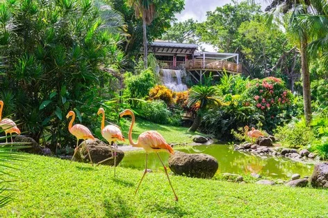 Jardin botanique de Deshaies
