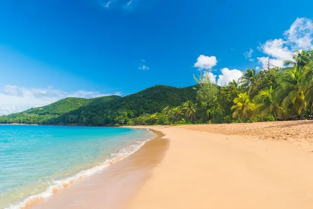 Plage de Grand Anse à Deshaies