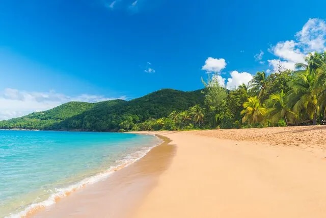 Plage de Grand Anse à Deshaies
