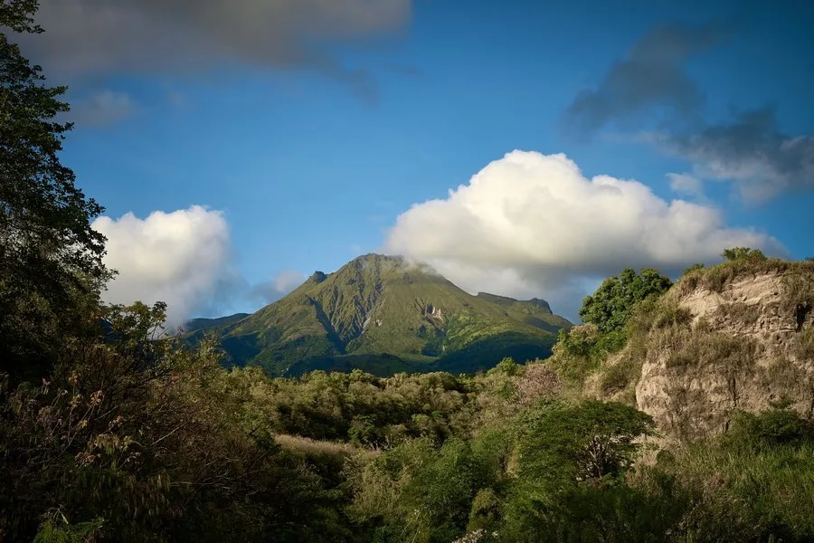 Vue de la montagne Pelée