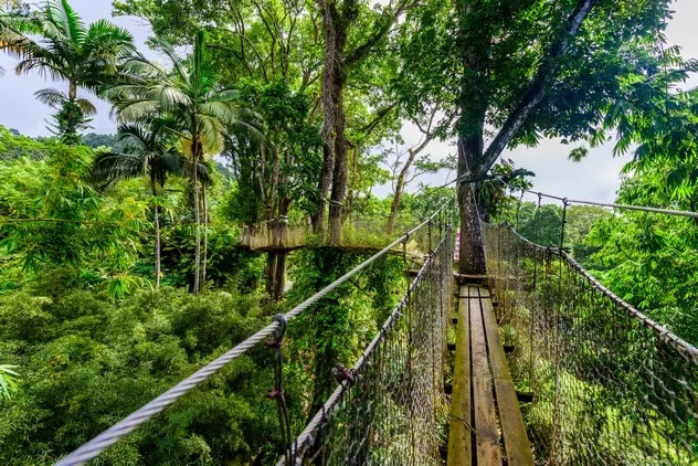 Jardins de Balata