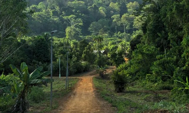 Chemin vers Saul