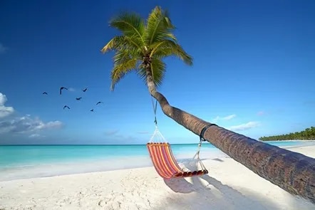 Hamac sur la plage aux Caraïbes