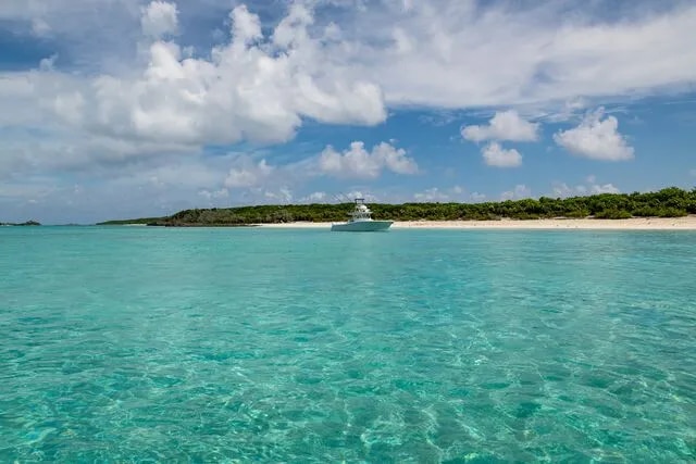 Pig Beach Bahamas