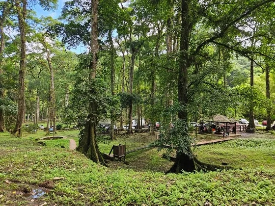Espace pic nic 