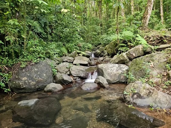 Rivière Blanche à Bouliki