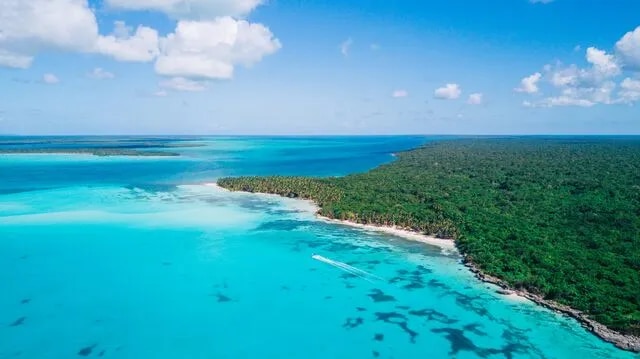 Ile Saona