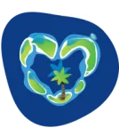 Nuestra política medioambiental