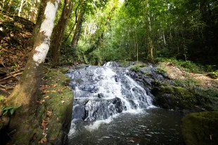 Cascade Gobaya Maripasoula Jayenko