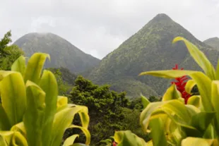 Visuel de randonnée au Morne Jacob en Martinique