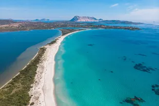 Flight departing from Olbia (OLB)