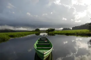 barque marais