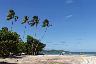 pointe-faula-vauclin-martinique