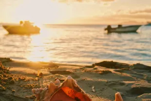 Gros plan sur un lambi posé sur le sable d'une plage en Guadeloupe au coucher du soleil, avec des bateaux de pêche et de plaisance au mouillage dans une eau dorée et étincelante.