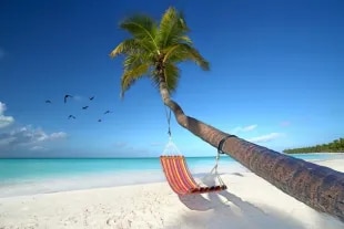 hamac sur la plage 