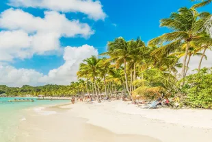 Photo d'une plage en Guadeloupe