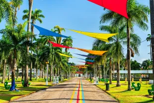 Place des Palmistes à Cayenne
