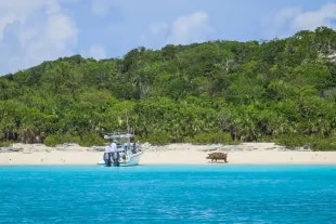 Bateau qui accoste à Pig Beach