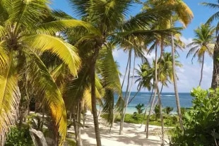 Image de la Martinique