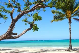 Photo d'une plage en Jamaïque