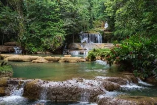 Chutes de Mayfield en Jamaïque