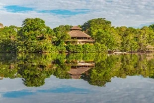 Lodge dans la forêt tropicale en Guyane