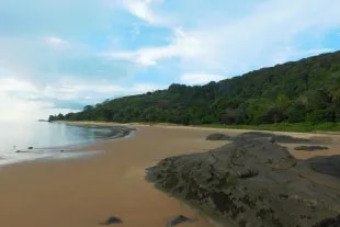 Plage Gosselin à Remire Montjoly