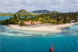 30 - Partir en famille_enfants en Martinique _ conseils pratiques.jpeg