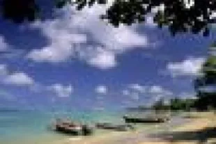 afaire-martinique3_0-min.jpg
