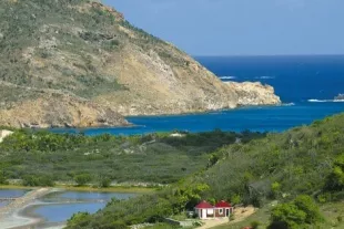 afaire-saint-barth-6_0_0.jpg