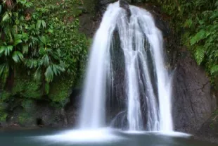 cascade_guadeloupe_1.jpg