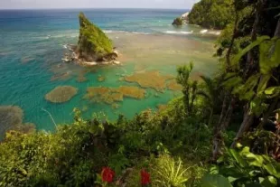 fabulous_reef_view_in_dominica_auteurbrad_0-min (1).jpg