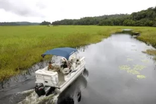 guide-guyane4_0_0-min.jpg