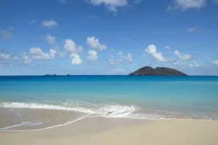 guide-saint-barth3_0_0.jpg