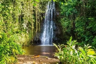 tahiti8_0-min.jpg