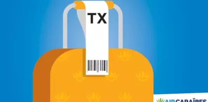 illustration valise